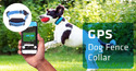 A hand holding a phone showing the GPS Dog Fence area on its face with a dog in the background wearing a GPS Dog Fence Collar and catching a red ball