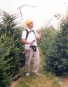 Man is standing in field of Christmas trees with back-mounted boom holding a pole trimmer