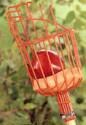 Orange pole-mounted fruit picker basket with a red apple in it