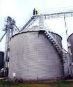 Grain bin with spiral stairs to manwalk connecting to other grain bins