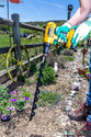 Arms in upper right with blue & white gloves on holding yellow cordless drill with long planting auger bit above flower bed. Rail fence and blue sky in background