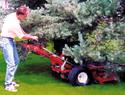 Convertible mower used as a walk-behind mower to mow under pine trees