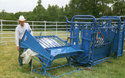 Rancher using a blue calf table machine to work on a calf