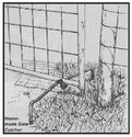 Ink drawing of the metal-rod device, its two ends bent 90 degrees and inserted partway into the ground, with the gateâ€™s bottom frame resting in the U-shaped indentation thatâ€™s located half way between the two ends and adjacent to the fence post.