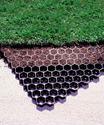 A partial sheet of the productâ€”the lower portionâ€™s octagon-shaped mesh empty, the middle portionâ€™s mesh soil covered, and the top portionâ€™s mesh hidden by the grass.