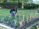 Weed Free Garden Watering Blanket
