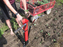 Hatfield Vegetable Transplanter