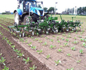 Robocrop In-Row Weeder