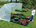 Portable Fold-Down Greenhouse