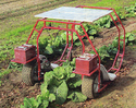 Homemade Solar-Powered Picking Cart