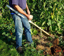 Homemade Single-Arm Gardening Equipment