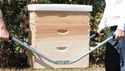Bee Hive Carrier