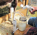 Henry Goat Milking Kit