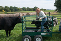 Silent Partner Calf Cart