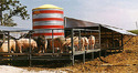 Hog Haven Portable Swine Building