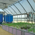Commercial-Scale Aquaponics Systems