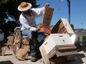 Homemade Easy-Lift Bee Hive