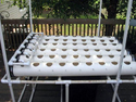 Homemade Hydroponics System