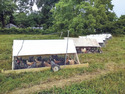 Homemade Mobile Poultry Shelter