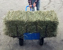 Blue 2-wheeled hand dolly with an angle-iron bar fastened horizontally across back of carry-plate and rebar tines welded to the piece of angle iron at 90 degrees so it looks like a large flat dinner fork with a rectangular hay bale on it .