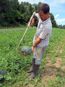 Man - Ned Stoller - in watermellon patch lifting green watermellon with homemade pumpkin-melon lifter.