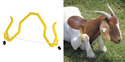 Left pic of yellow gambrel restrainer. Rt pic of goat on ground in gambrel restrainer.