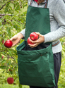 Person in apple orchard putting red apples in green produce-gathering apron.