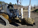 Skid-Steer Tree-Moving Attachment on a skid-steer with 3 burlapped trees on it.
