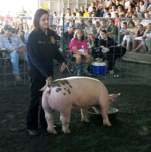 Delilah Willis show pig at county fair