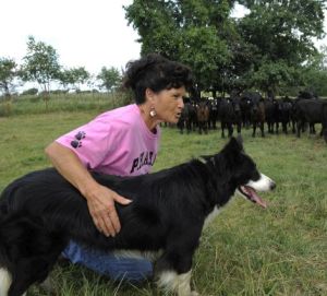 Alda Owen kneeling with Pharm dog in front of cattle herd