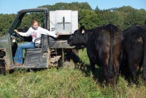 Carey sitting in utility vehicle operating the feeder in the back with cattle in foreground