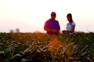 Photo of soybean field with man and woman in blurred background.
