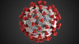Image of coronavirus structure
