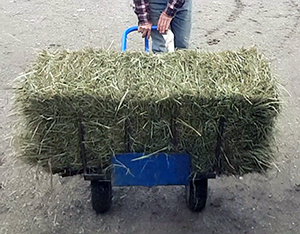 Bale of hay being carried fabricated dolly