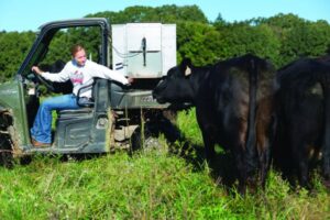 Carey in utility vehicle opening feed chute in back of UTV to cattle in foreground