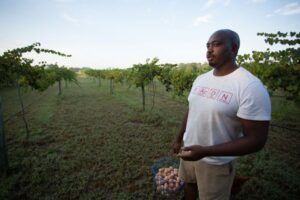 Davon stands with basket of grapes in vineyard