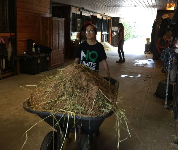 Samantha pushes wheelbarrow full of feed inside horse barn.