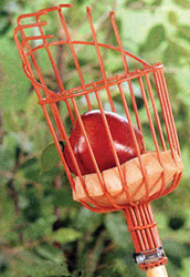 Wire basket on pole with apple on pad inside