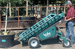 Man preparing to load potted tree onto Ox transporter in nursery