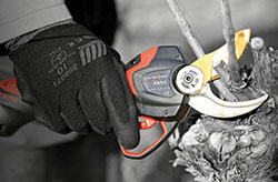 Gloved hand using battery-powered pruner to clip vine